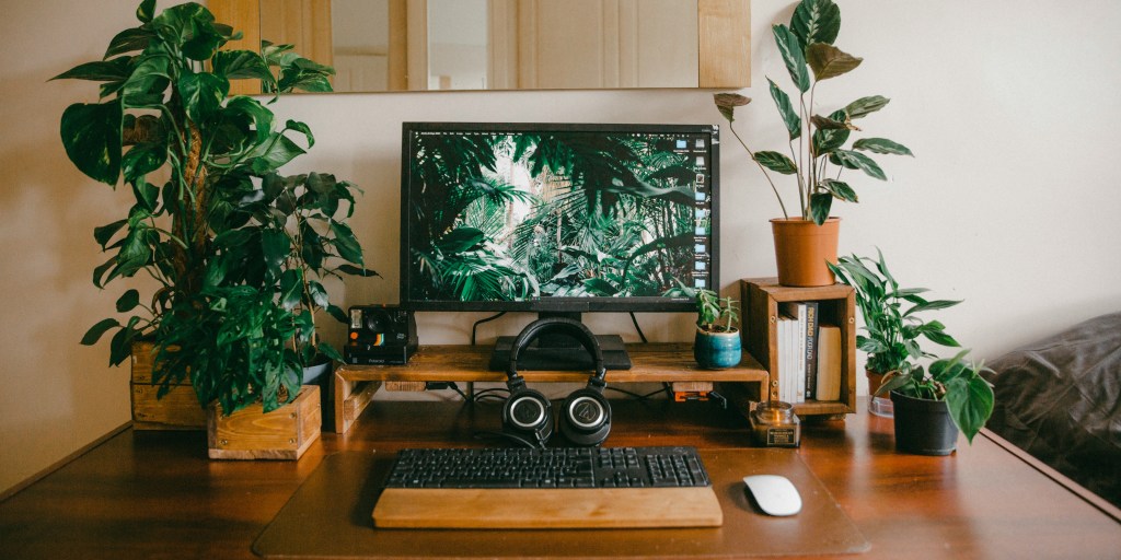 7 plants that will make your home office a happier and healthier place to&nbsp;be
