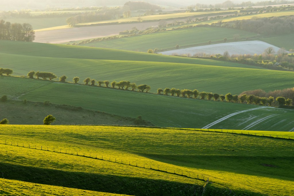 A view across the South Downs in the early morning with green fields and a chalky footpath.
