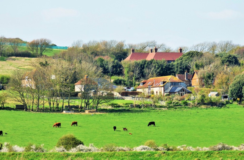 A field with a church and buildings in the background.