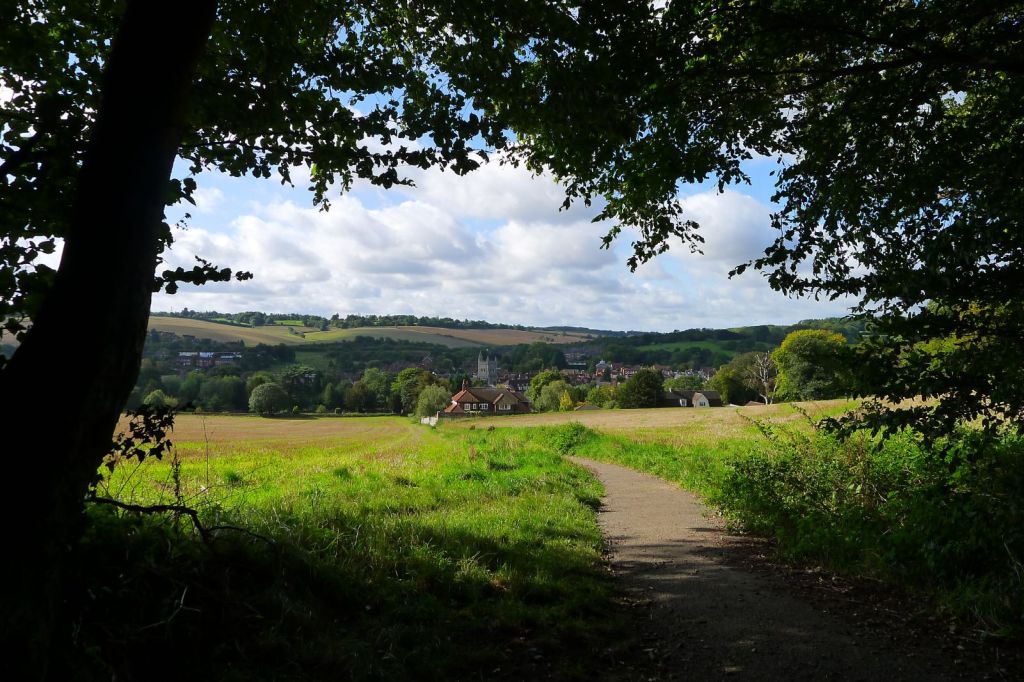 A view from some trees looking down on Amersham.