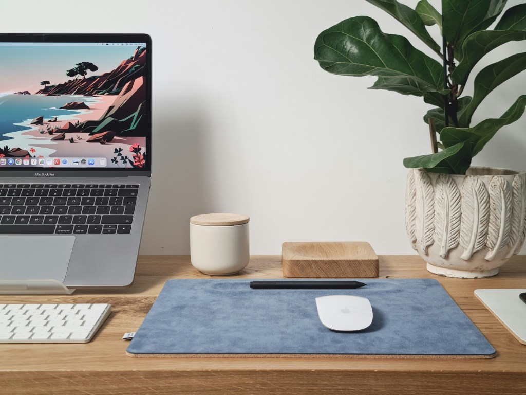 A modern and simple desk setup with a plant, a cup and a large mousemat.